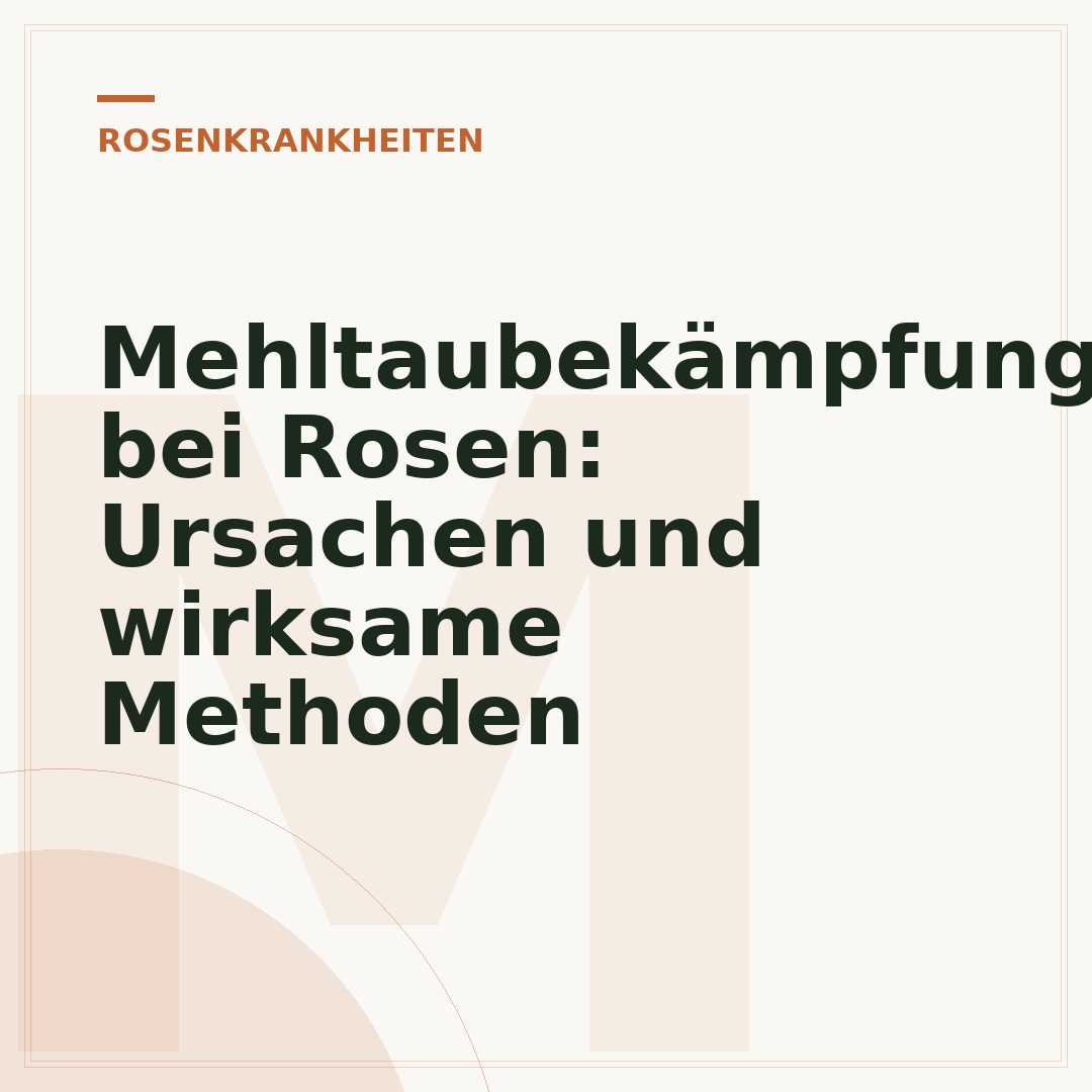 Mehltaubekämpfung bei Rosen: Ursachen und wirksame Methoden