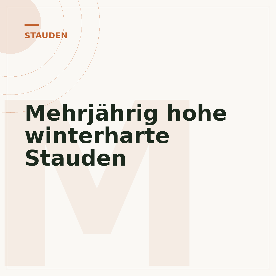 Mehrjährig hohe winterharte Stauden