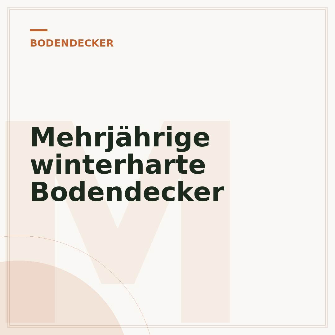 Mehrjährige winterharte Bodendecker
