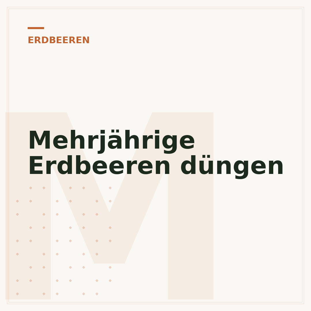 Mehrjährige Erdbeeren düngen