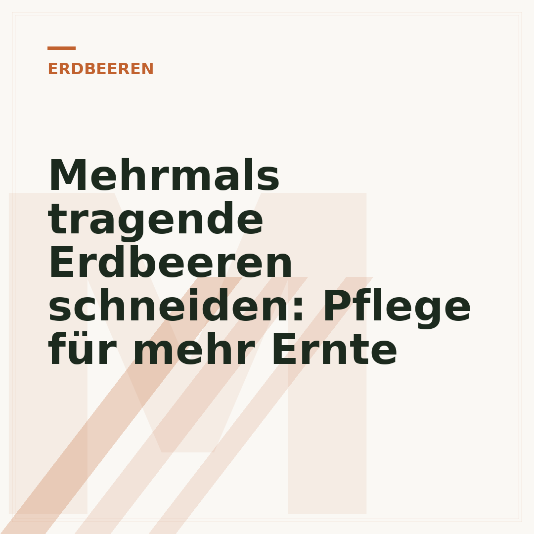 Mehrmals tragende Erdbeeren schneiden: Pflege für mehr Ernte
