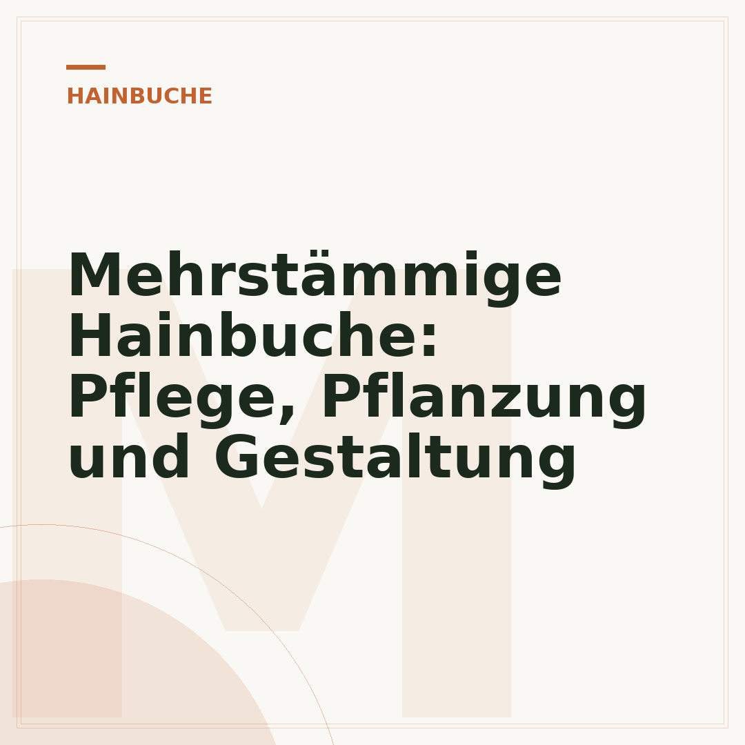 Mehrstämmige Hainbuche: Pflege, Pflanzung und Gestaltung