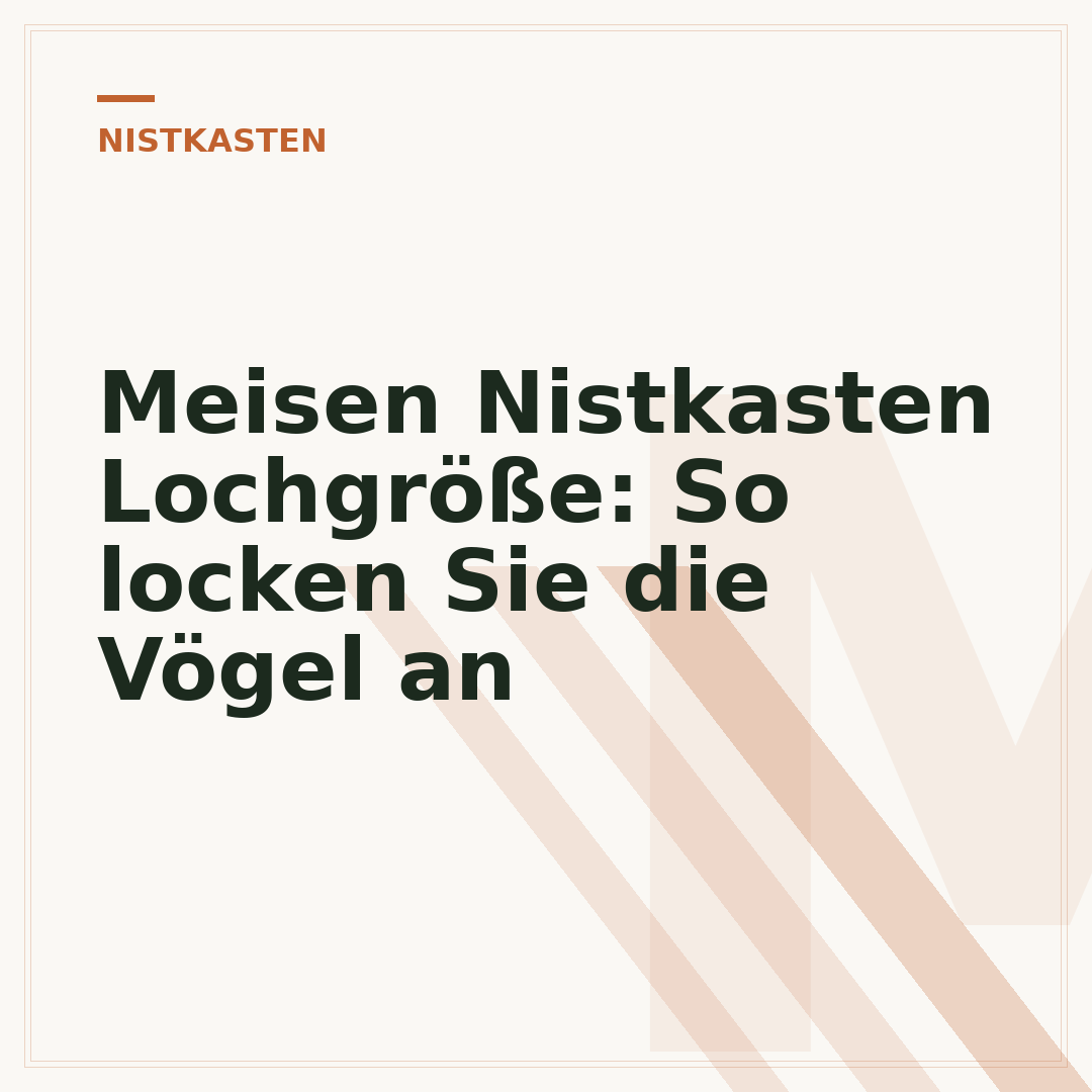 Meisen Nistkasten Lochgröße: So locken Sie die Vögel an