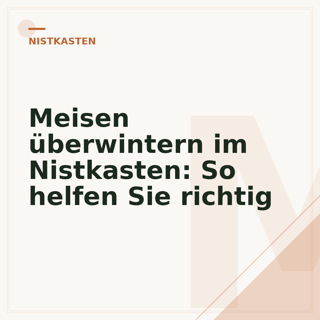 Meisen überwintern im Nistkasten: So helfen Sie richtig