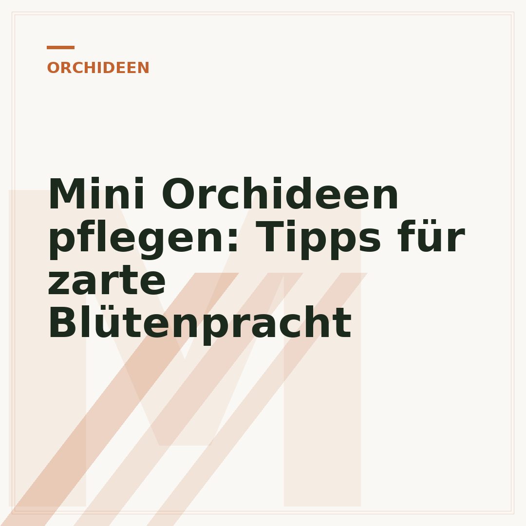 Mini Orchideen pflegen: Tipps für zarte Blütenpracht