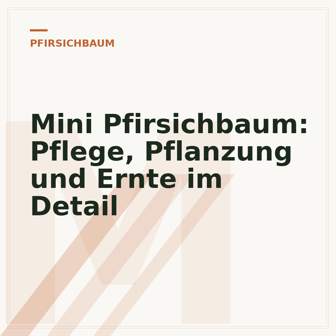 Mini Pfirsichbaum: Pflege, Pflanzung und Ernte im Detail