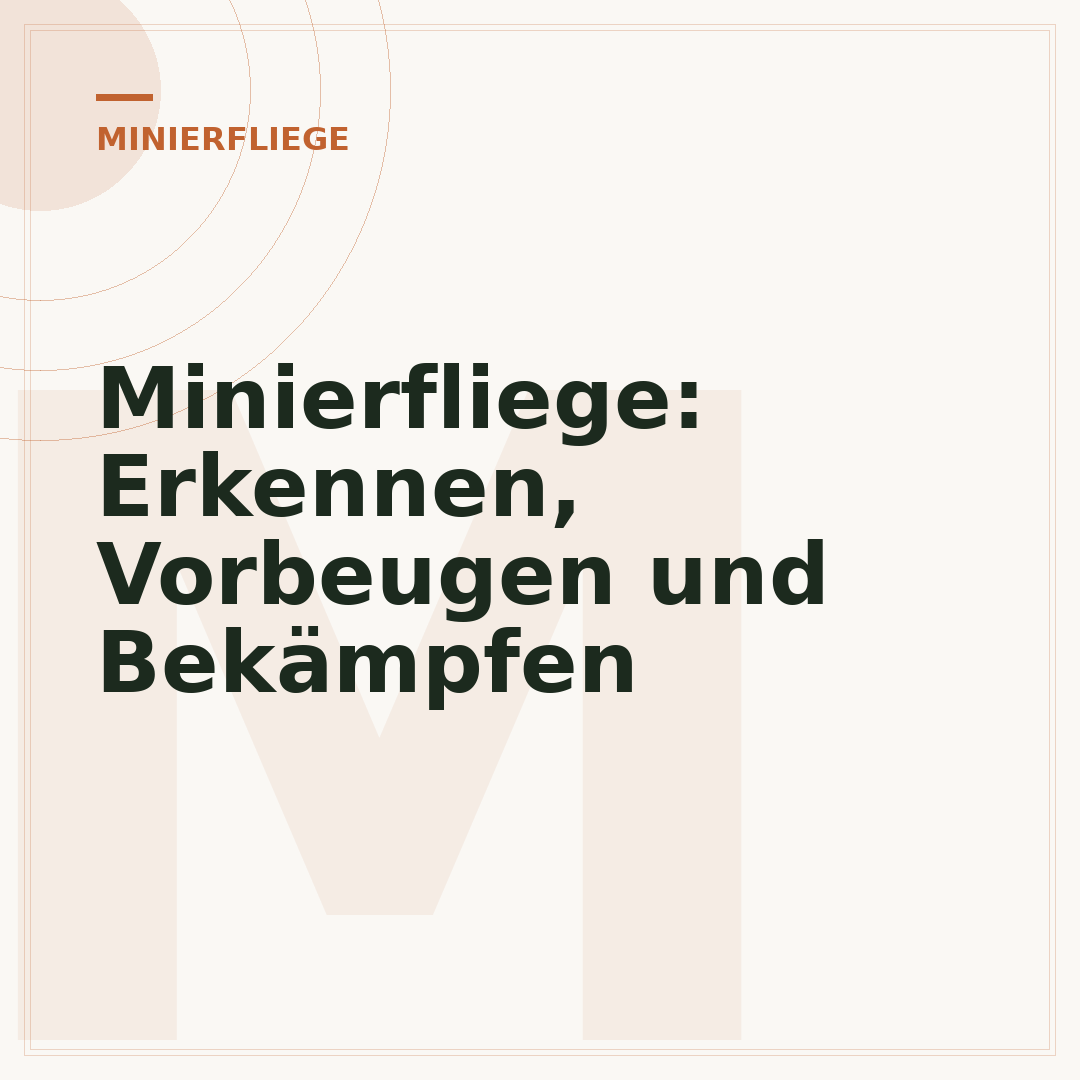 Minierfliege: Erkennen, Vorbeugen und Bekämpfen