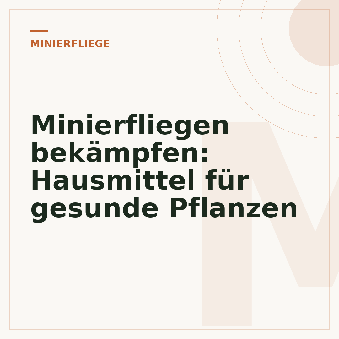 Minierfliegen bekämpfen: Hausmittel für gesunde Pflanzen