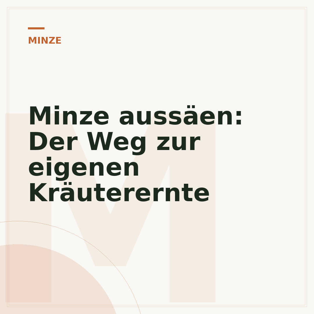 Minze aussäen: Der Weg zur eigenen Kräuterernte