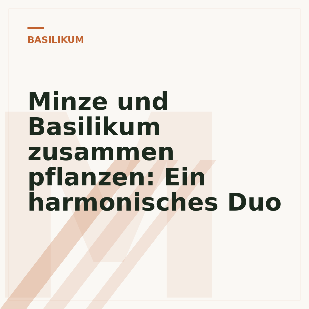 Minze und Basilikum zusammen pflanzen: Ein harmonisches Duo