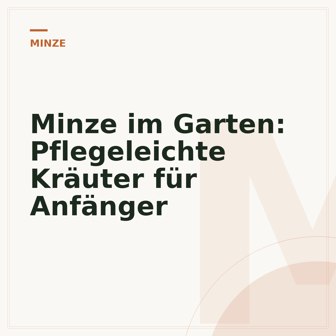 Minze im Garten: Pflegeleichte Kräuter für Anfänger