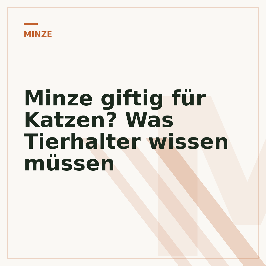 Minze giftig für Katzen? Was Tierhalter wissen müssen