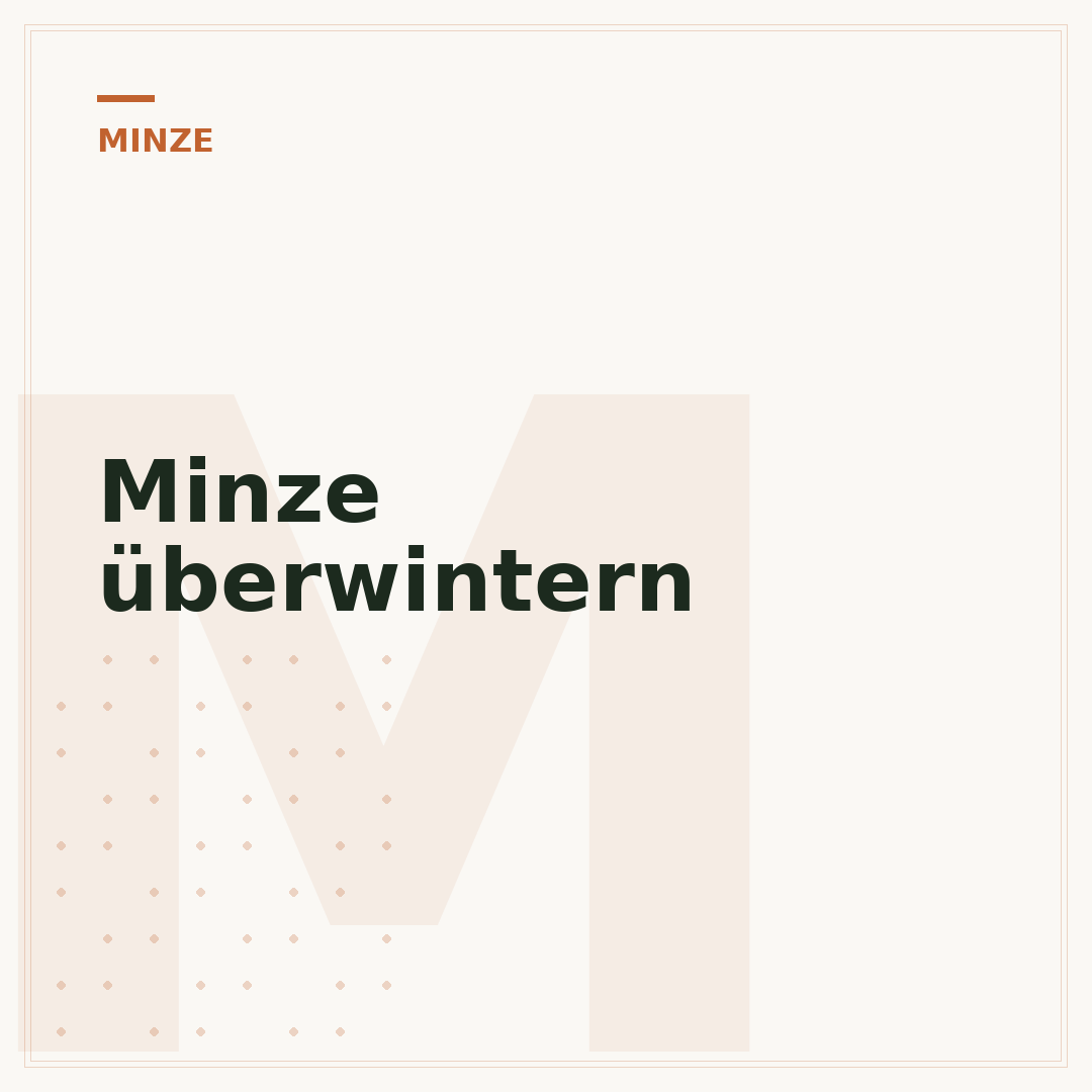 Minze überwintern