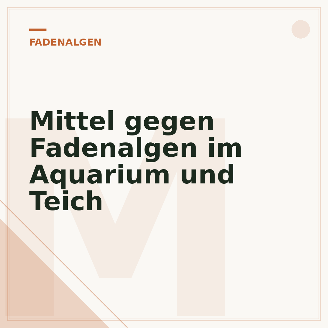 Mittel gegen Fadenalgen im Aquarium und Teich