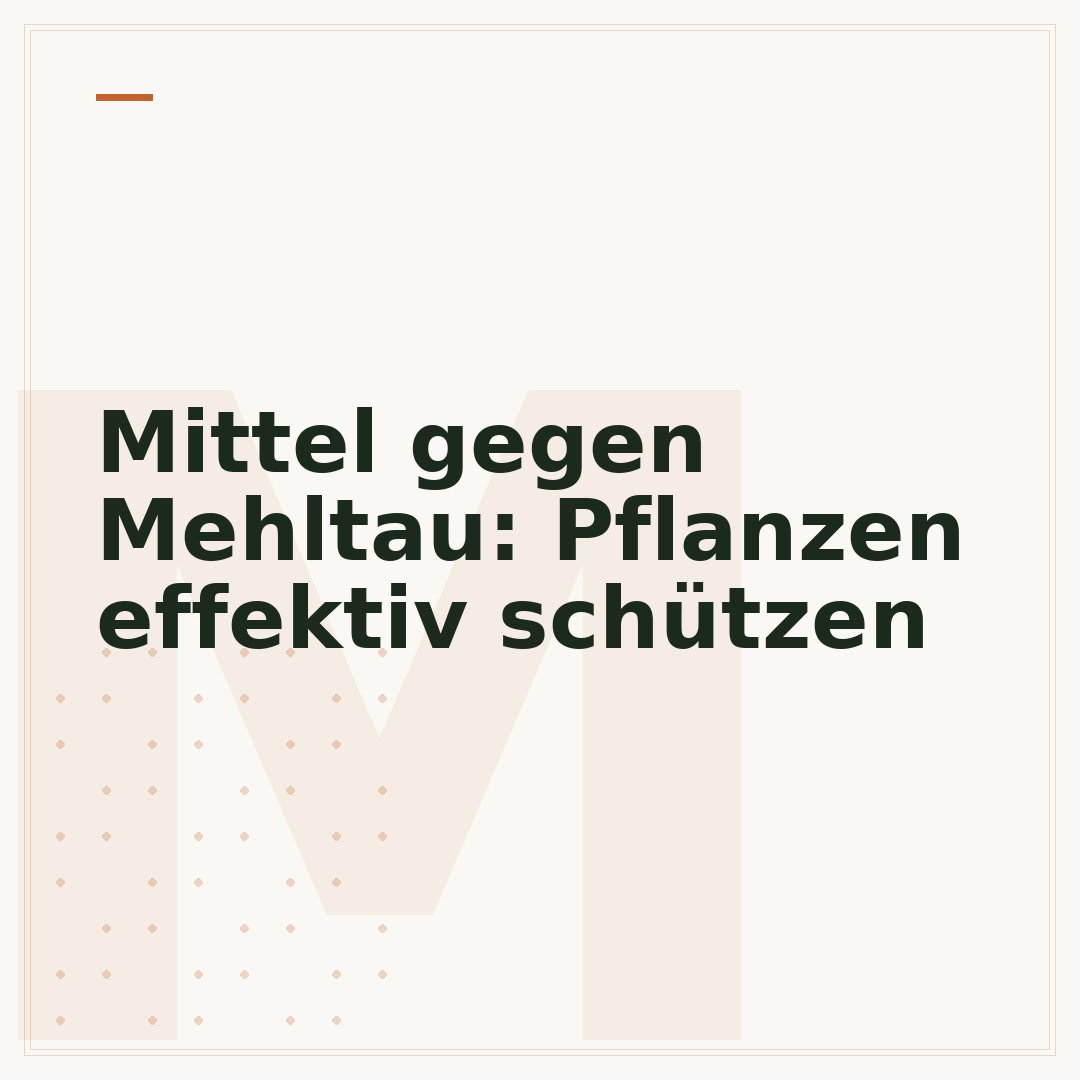Mittel gegen Mehltau: Pflanzen effektiv schützen