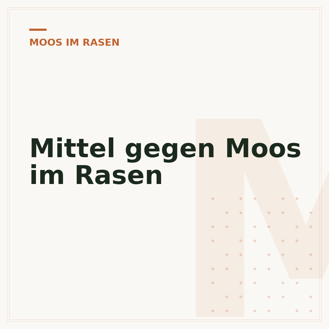Mittel gegen Moos im Rasen