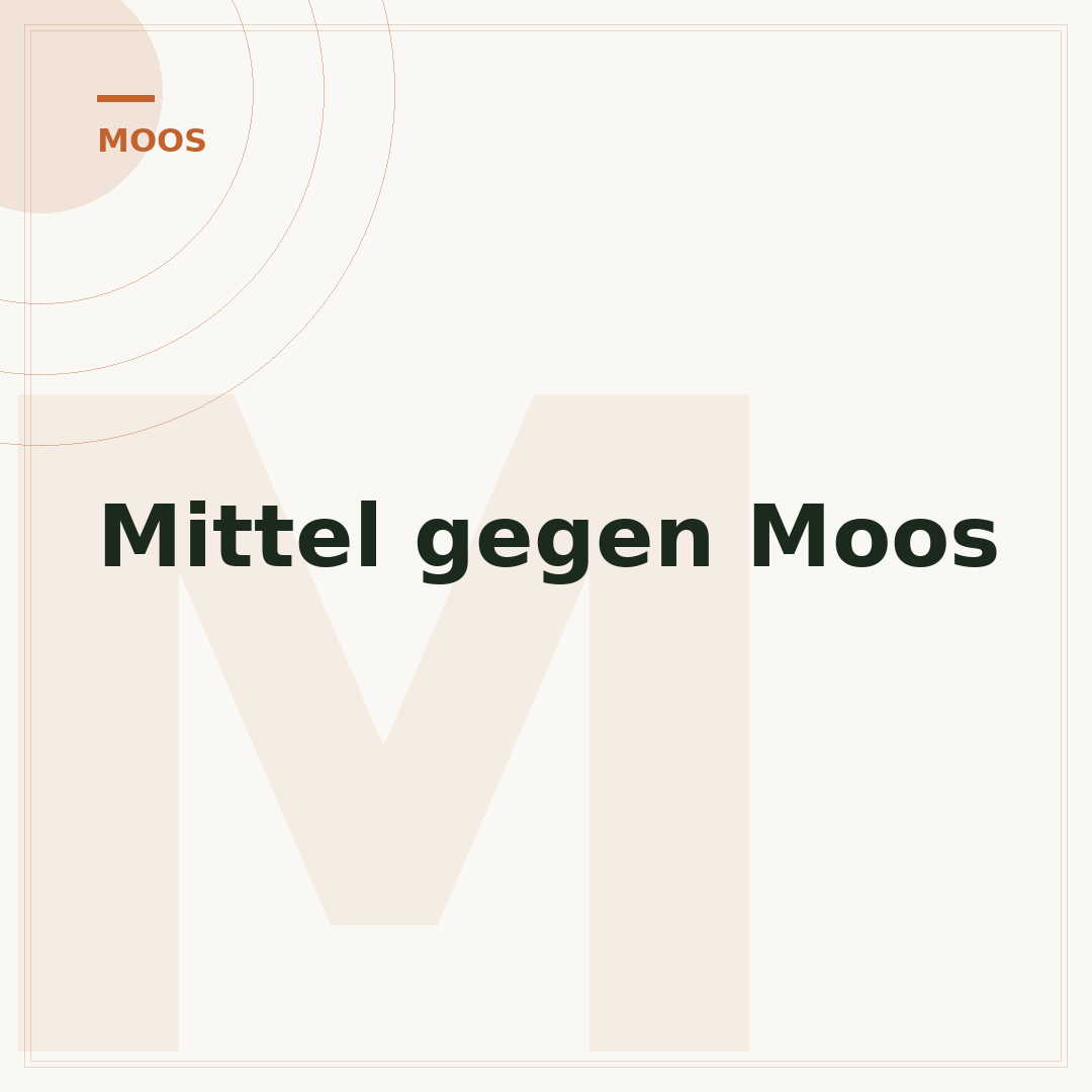 Mittel gegen Moos