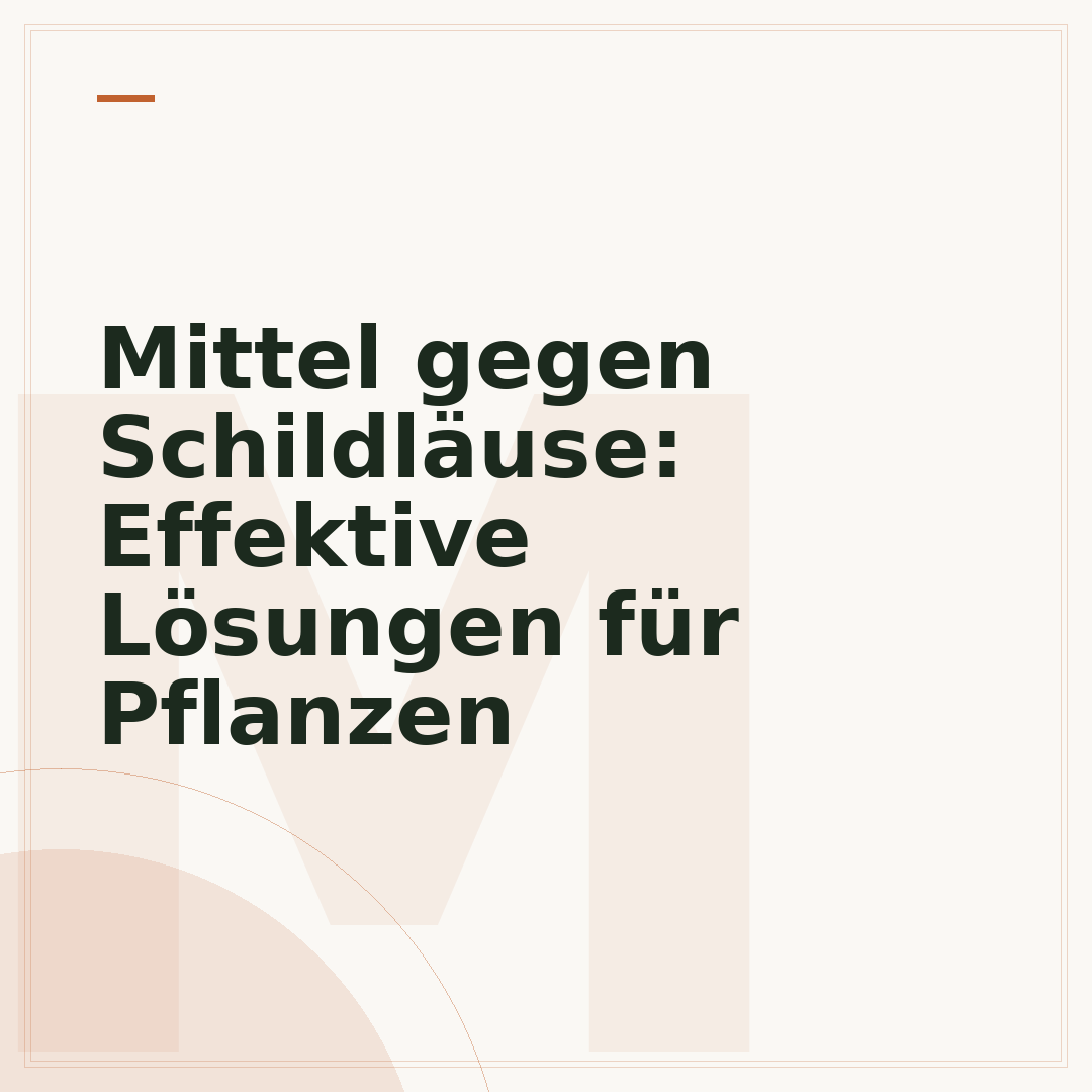 Mittel gegen Schildläuse: Effektive Lösungen für Pflanzen