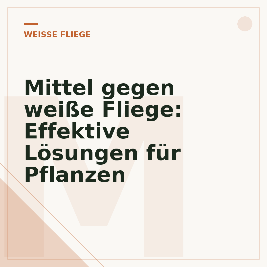 Mittel gegen weiße Fliege: Effektive Lösungen für Pflanzen
