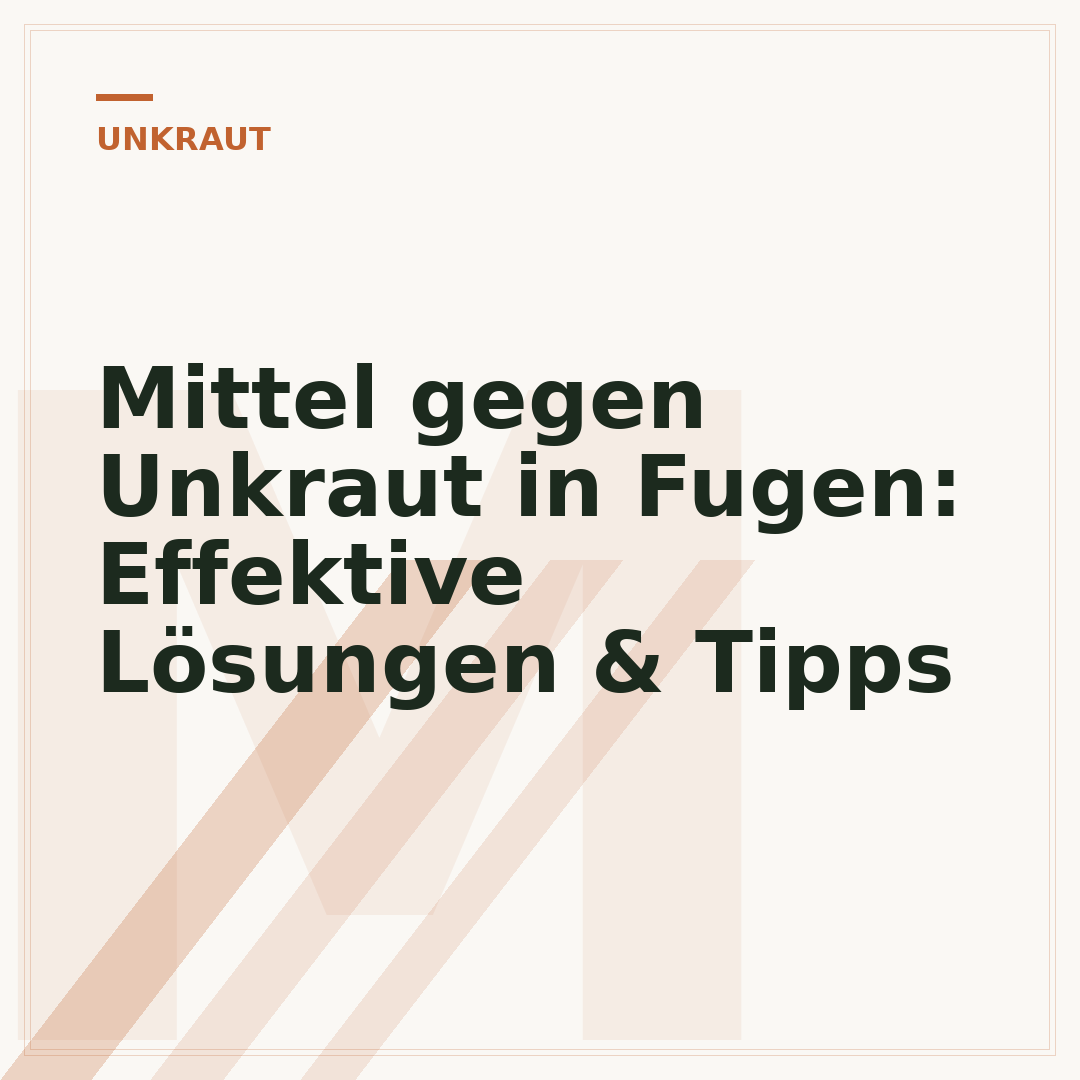 Mittel gegen Unkraut in Fugen: Effektive Lösungen & Tipps