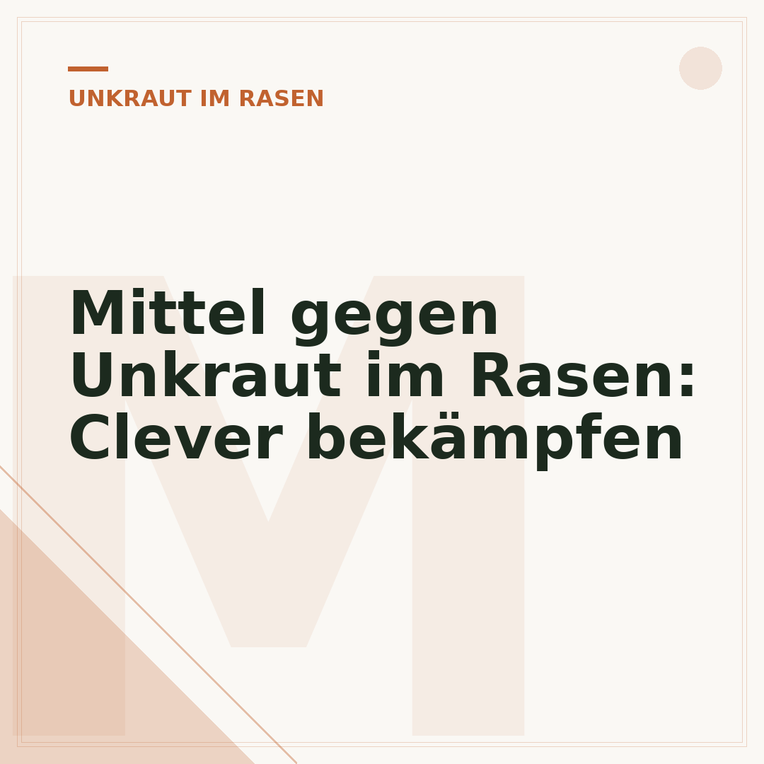 Mittel gegen Unkraut im Rasen: Clever bekämpfen