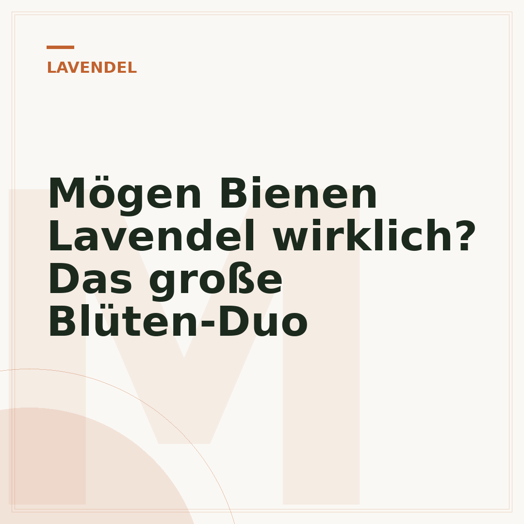 Mögen Bienen Lavendel wirklich? Das große Blüten-Duo