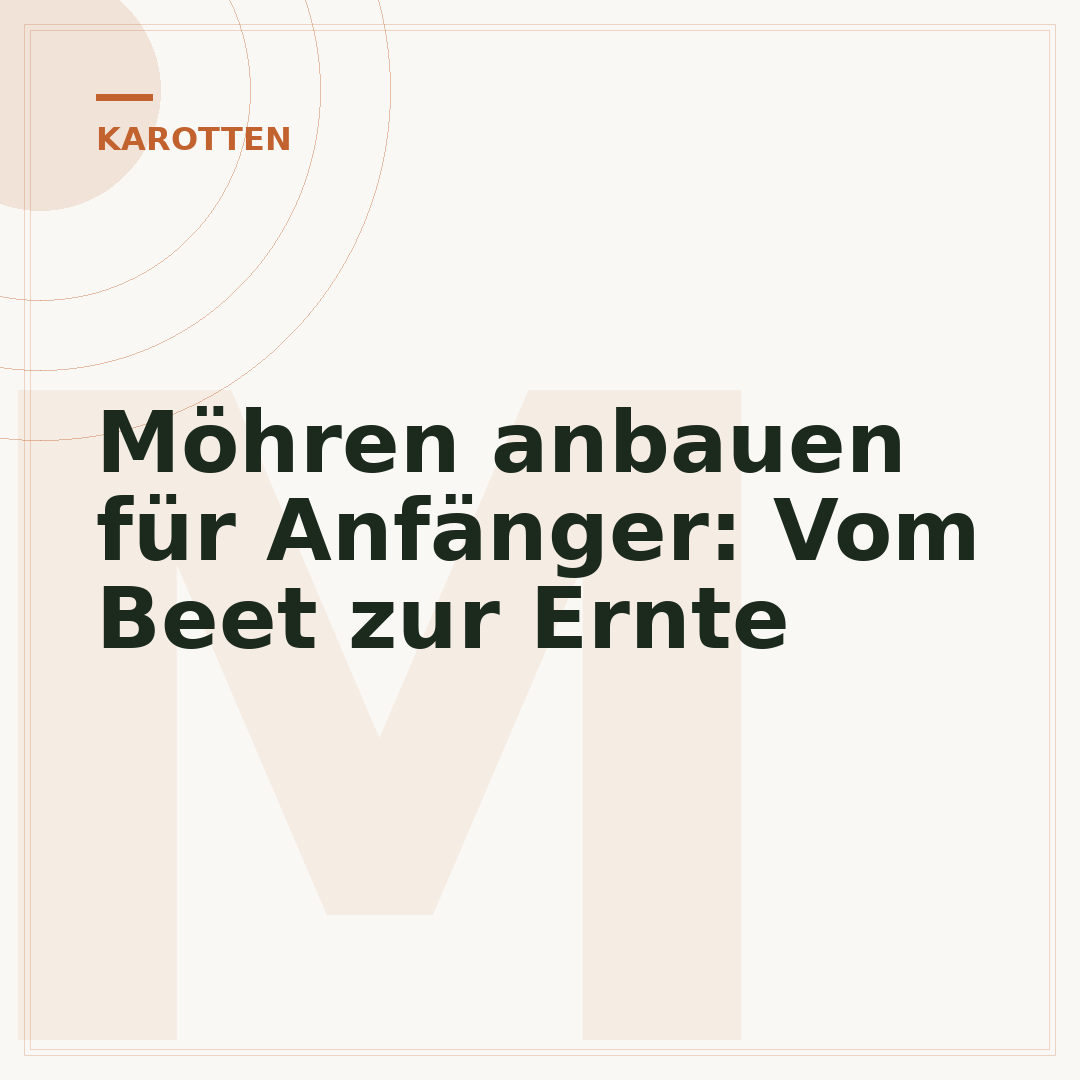 Möhren anbauen für Anfänger: Vom Beet zur Ernte