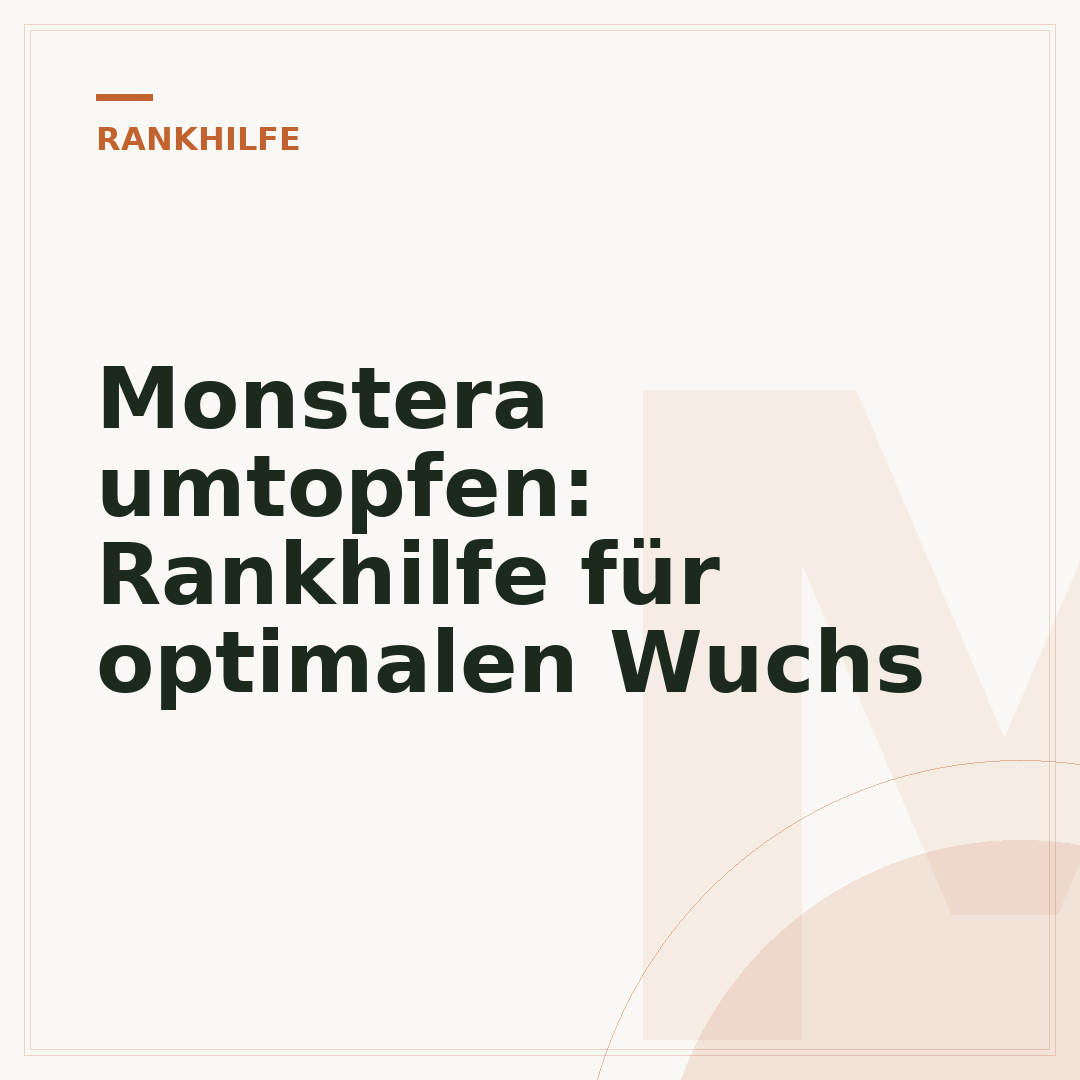 Monstera umtopfen: Rankhilfe für optimalen Wuchs