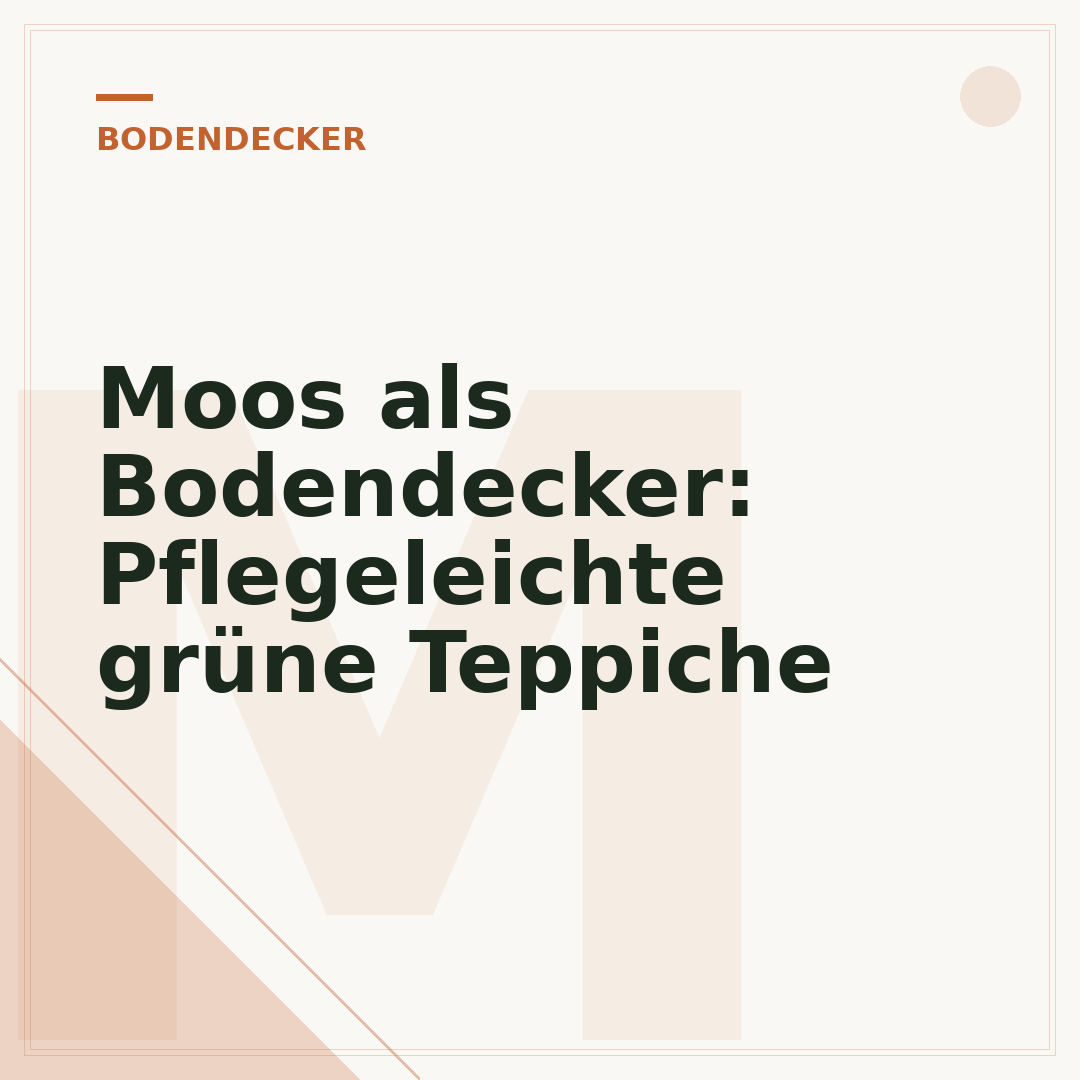 Moos als Bodendecker: Pflegeleichte grüne Teppiche