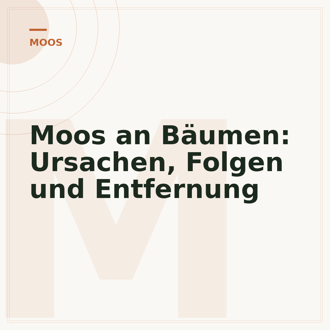 Moos an Bäumen: Ursachen, Folgen und Entfernung