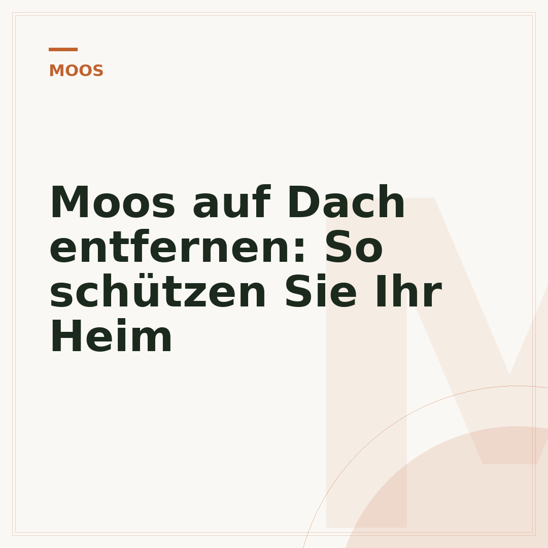 Moos auf Dach entfernen: So schützen Sie Ihr Heim