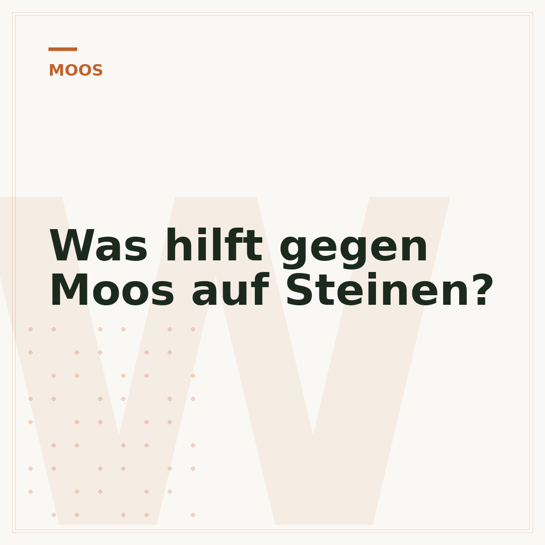 Was hilft gegen Moos auf Steinen?