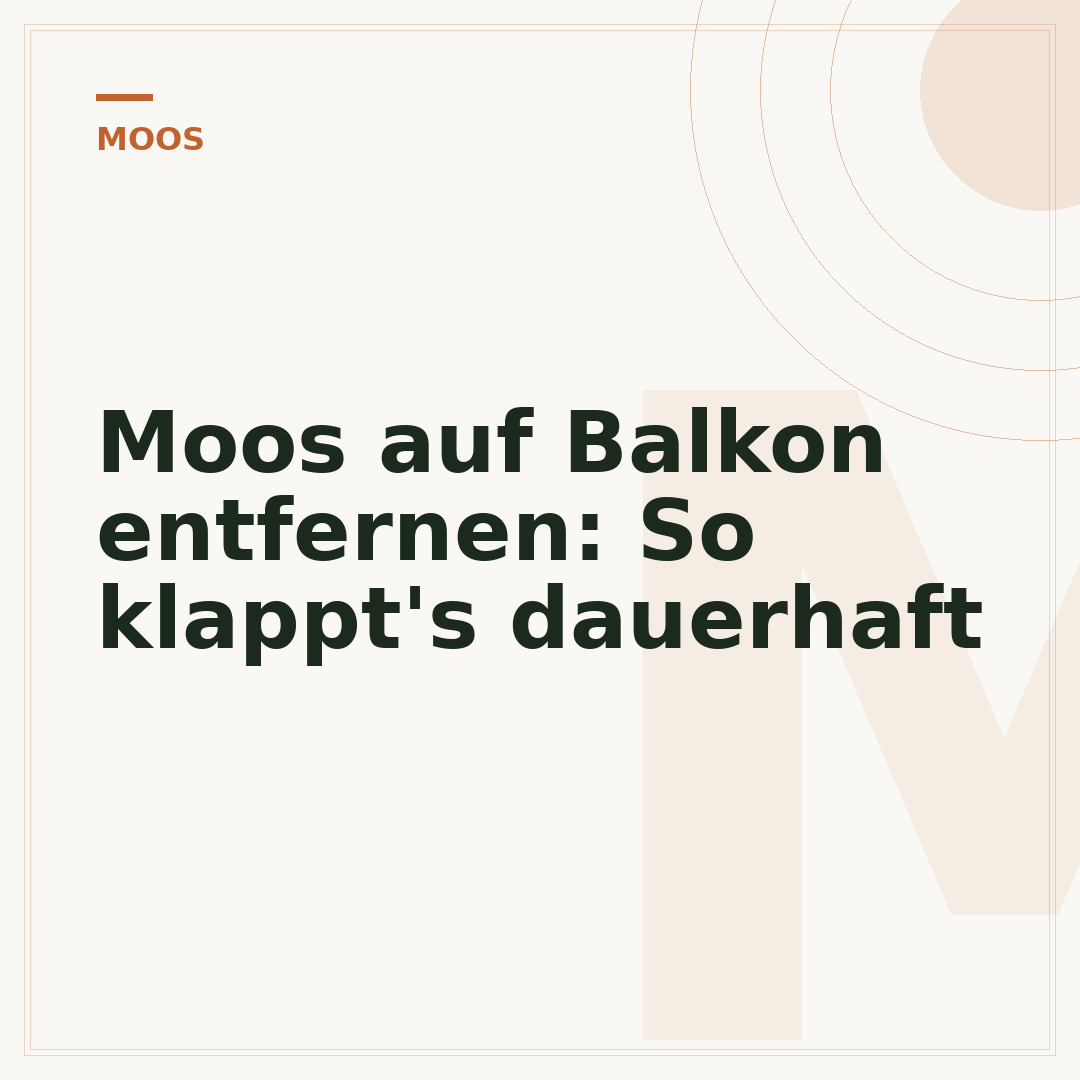 Moos auf Balkon entfernen: So klappt's dauerhaft