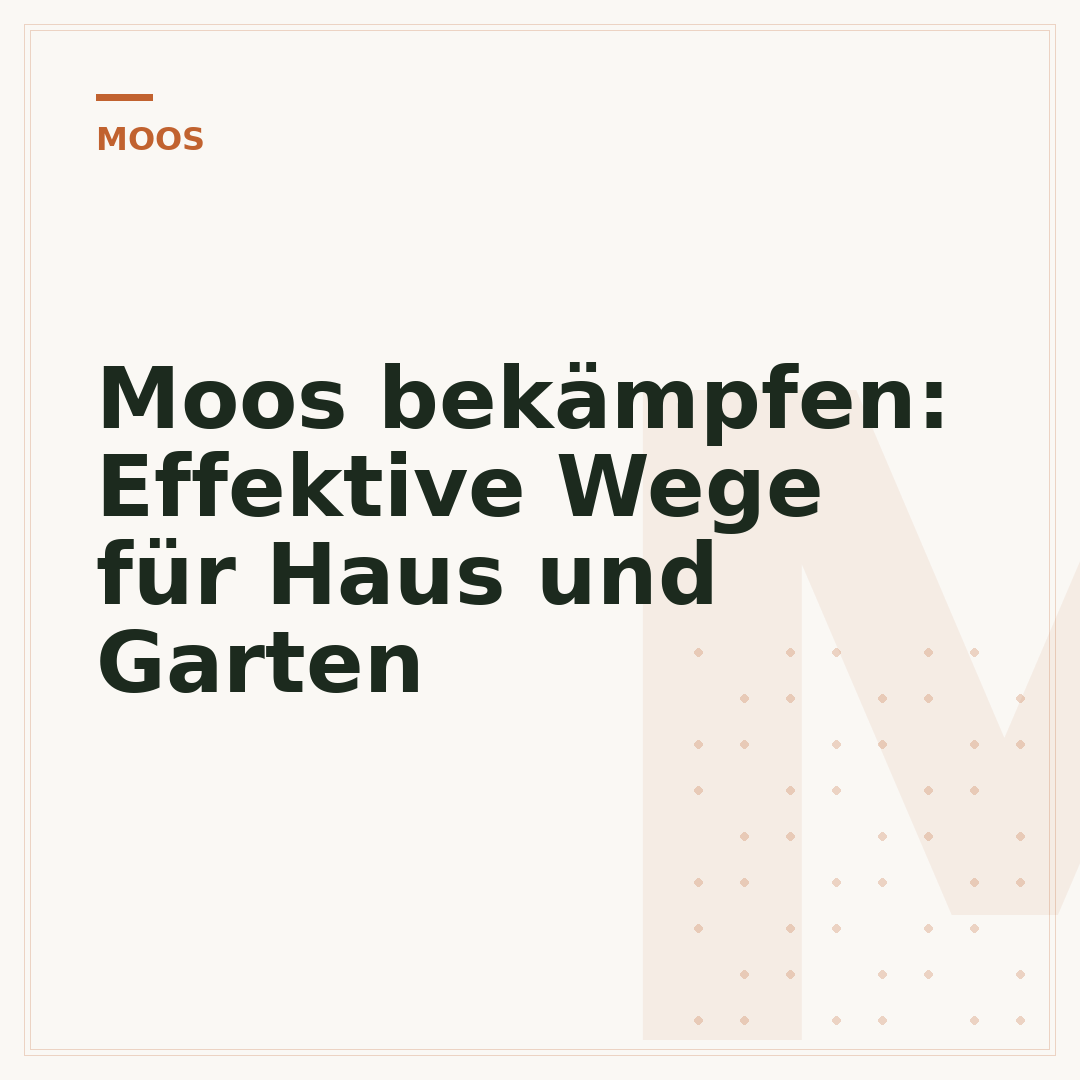 Moos bekämpfen: Effektive Wege für Haus und Garten