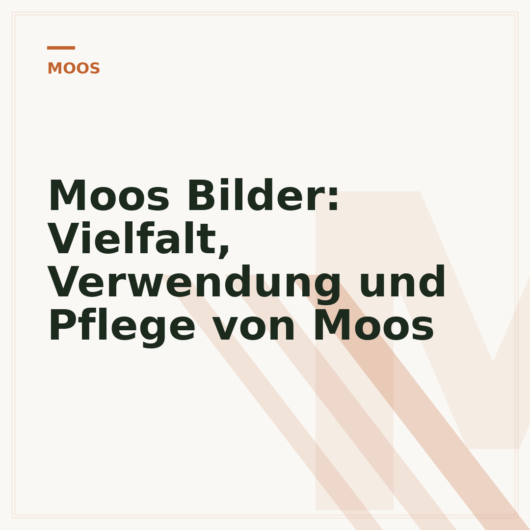 Moos Bilder: Vielfalt, Verwendung und Pflege von Moos