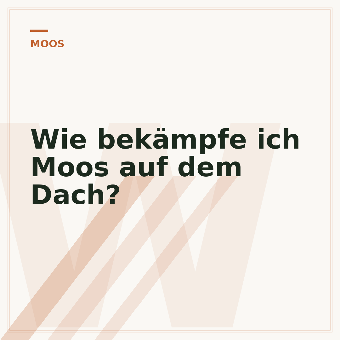 Wie bekämpfe ich Moos auf dem Dach?