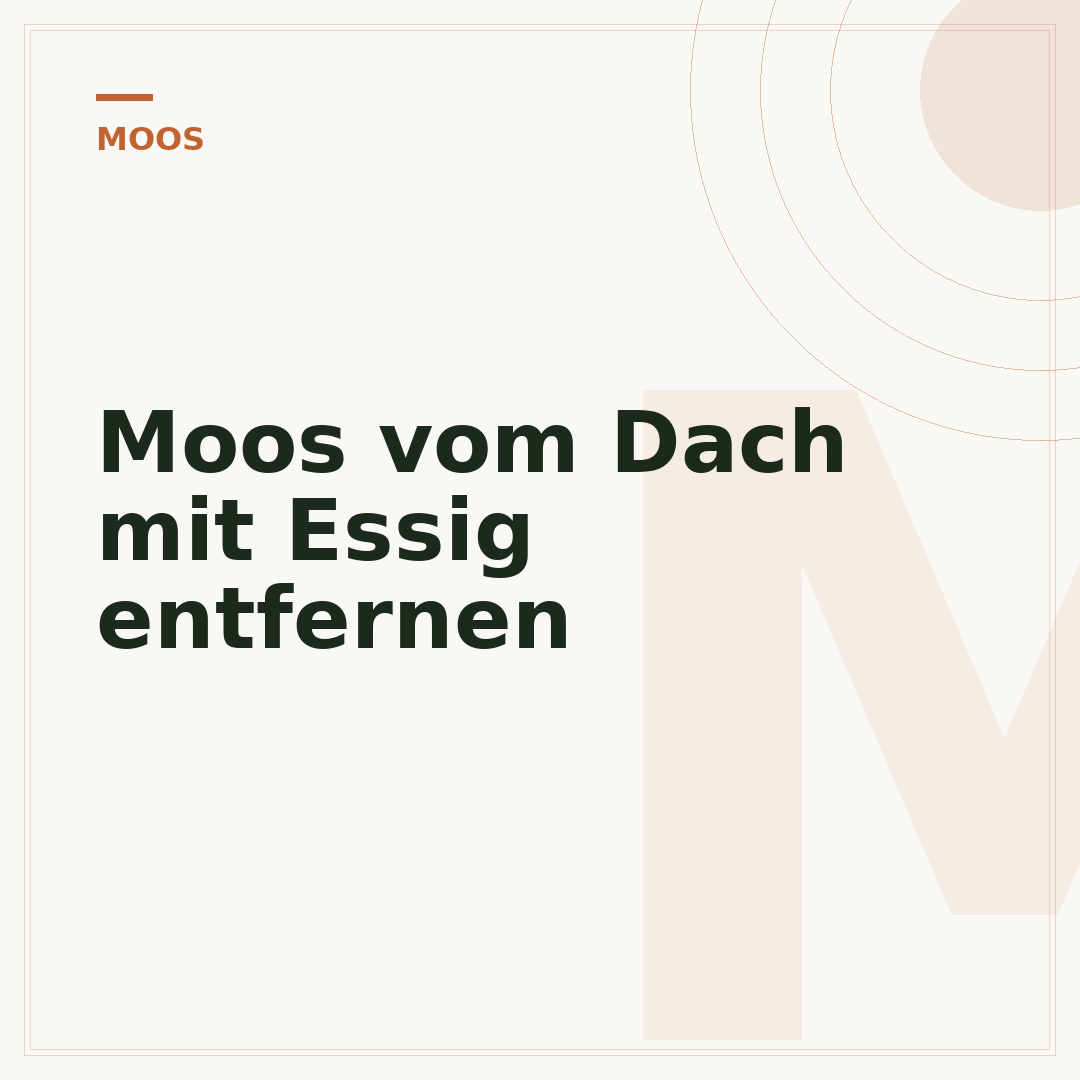Moos vom Dach mit Essig entfernen