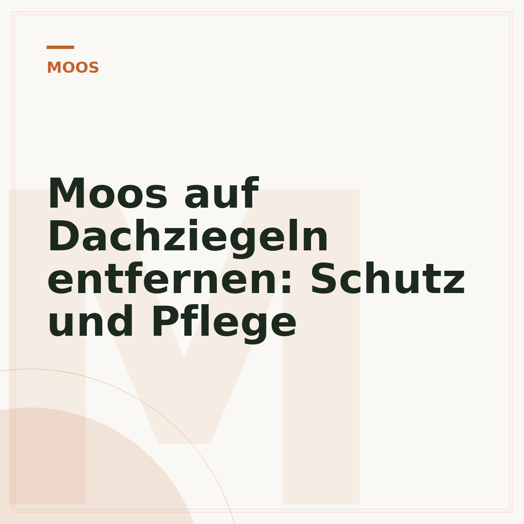 Moos auf Dachziegeln entfernen: Schutz und Pflege