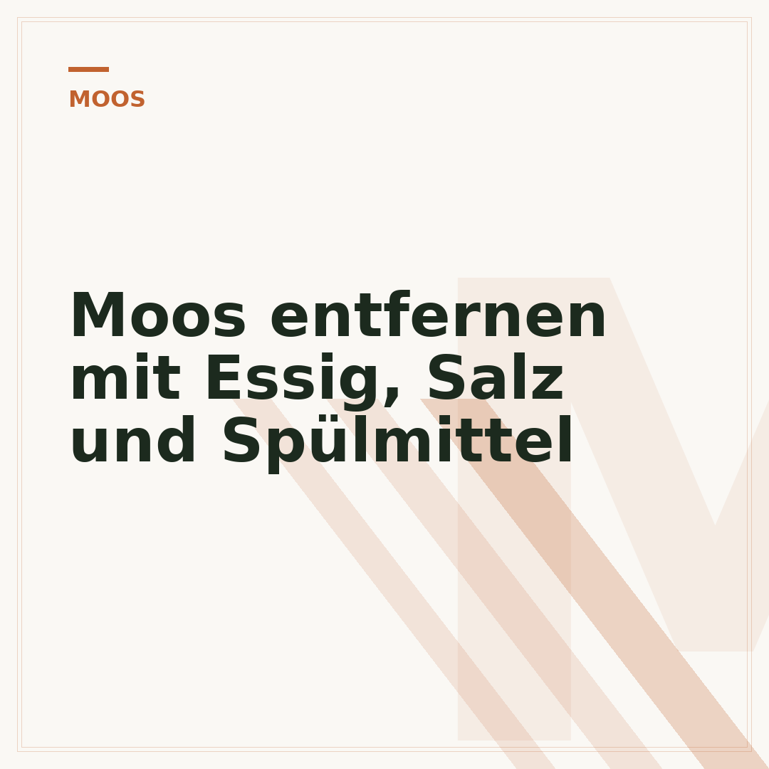 Moos entfernen mit Essig, Salz und Spülmittel
