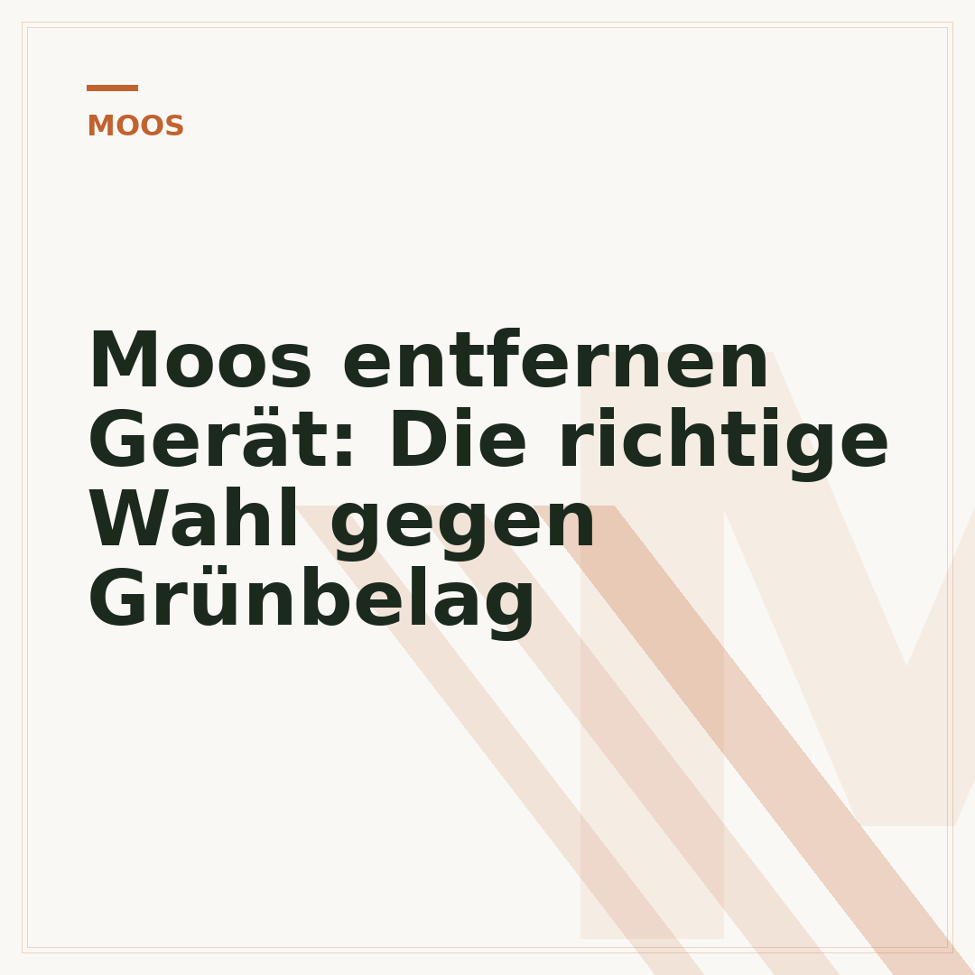 Moos entfernen Gerät: Die richtige Wahl gegen Grünbelag