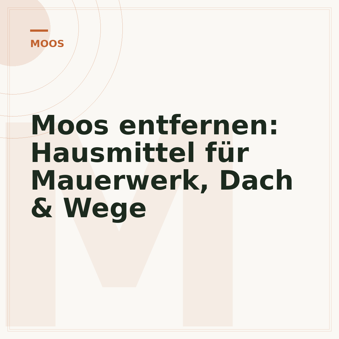 Moos entfernen: Hausmittel für Mauerwerk, Dach & Wege
