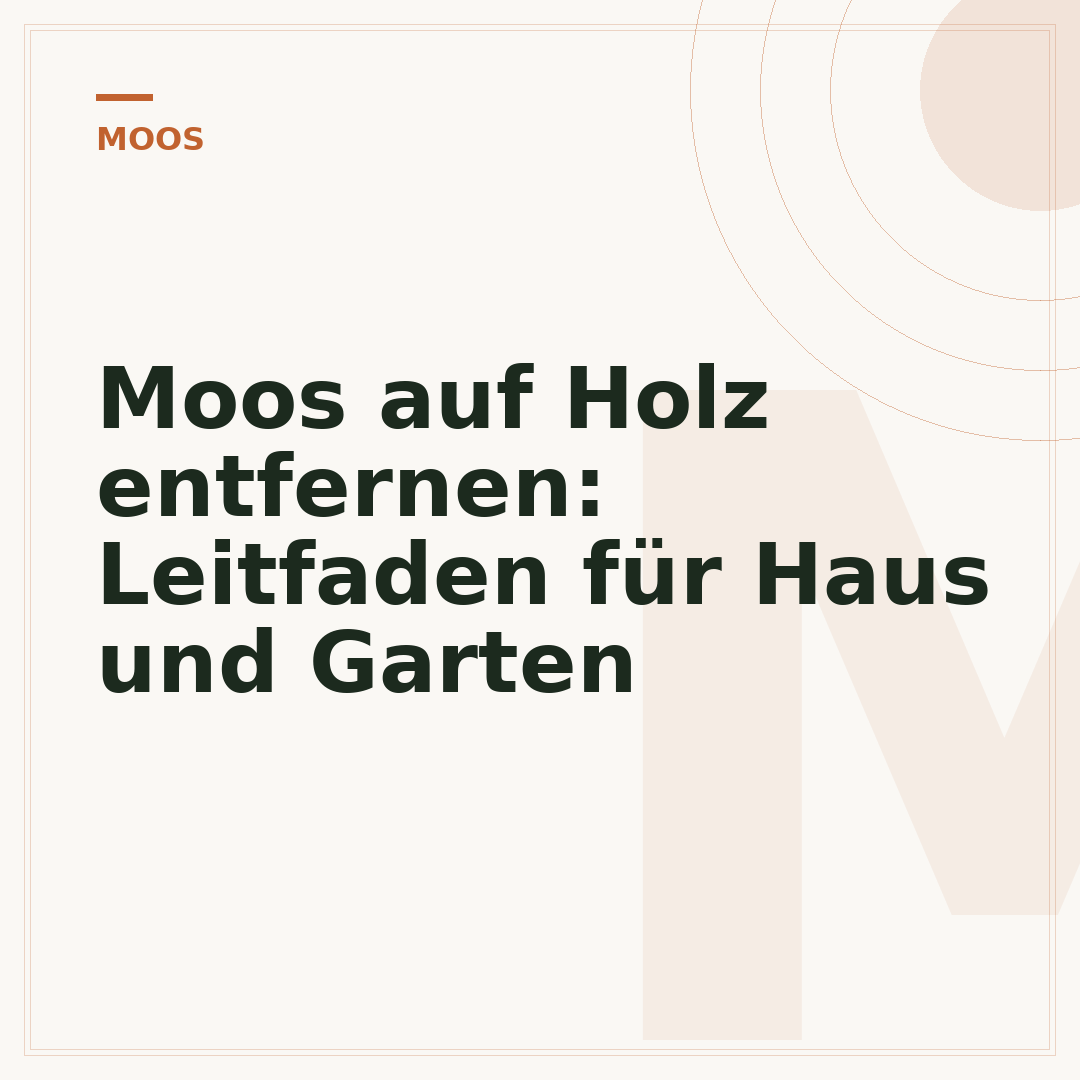 Moos auf Holz entfernen: Leitfaden für Haus und Garten