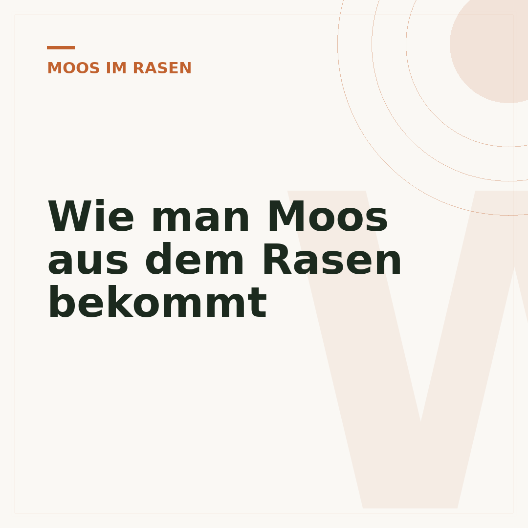 Wie man Moos aus dem Rasen bekommt