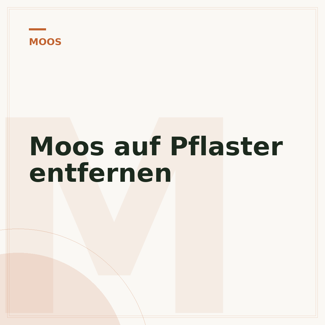 Moos auf Pflaster entfernen