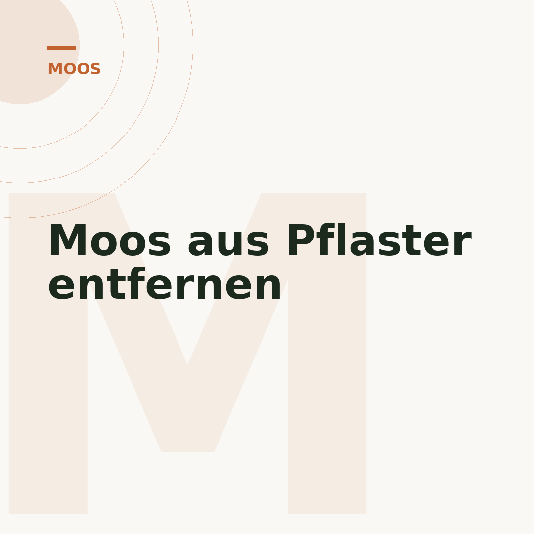 Moos aus Pflaster entfernen
