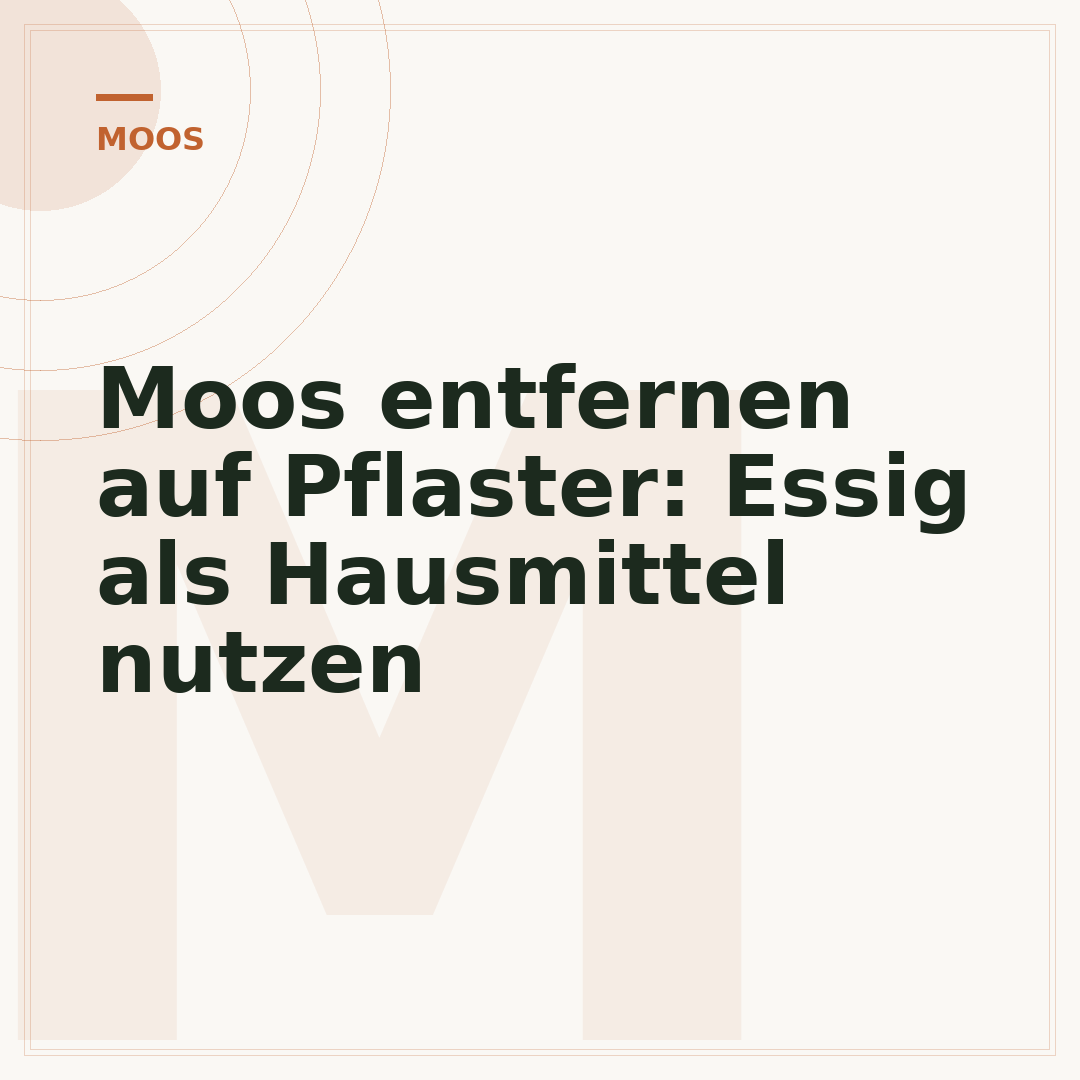 Moos entfernen auf Pflaster: Essig als Hausmittel nutzen