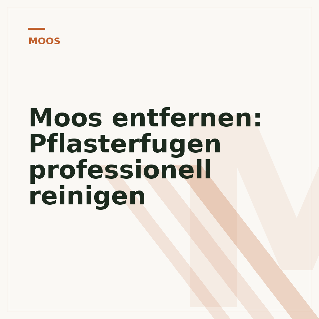 Moos entfernen: Pflasterfugen professionell reinigen