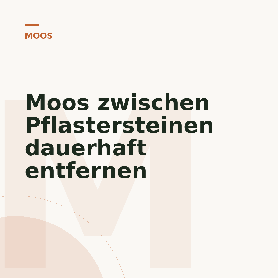 Moos zwischen Pflastersteinen dauerhaft entfernen