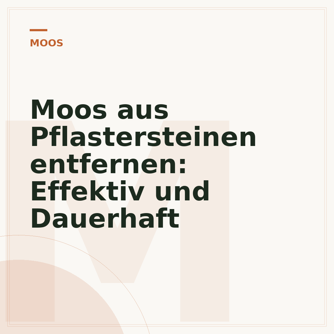 Moos aus Pflastersteinen entfernen: Effektiv und Dauerhaft