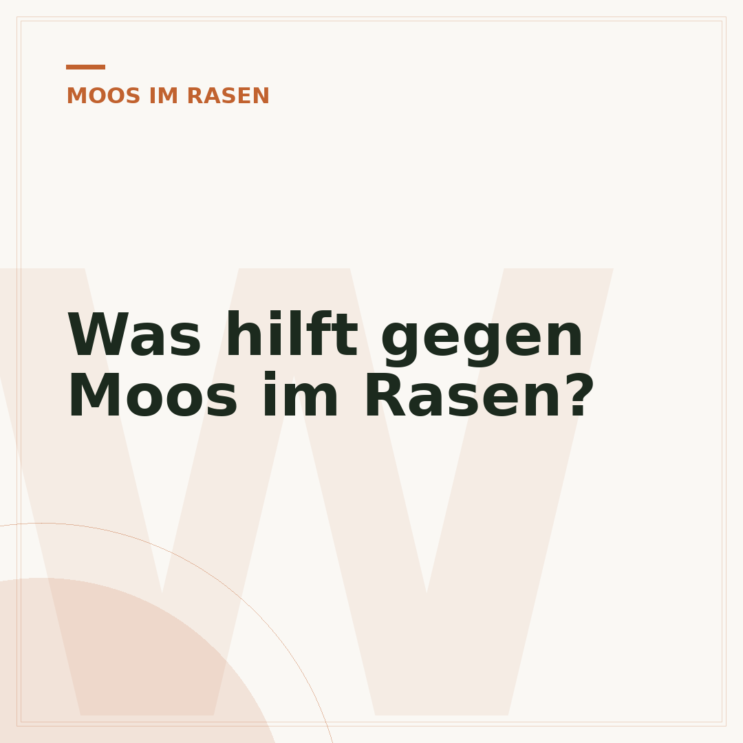 Was hilft gegen Moos im Rasen?